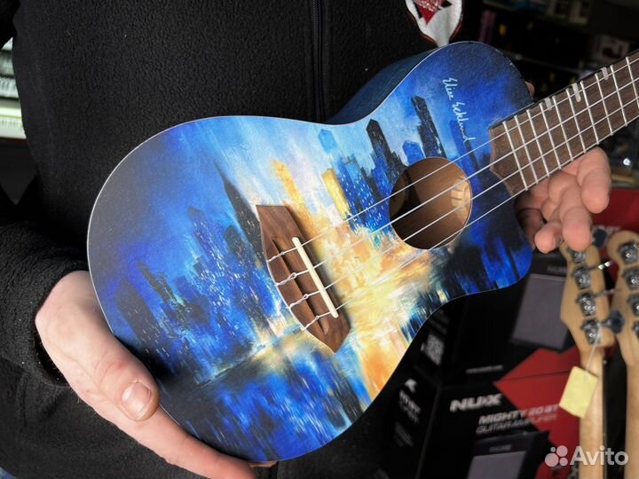 Укулеле flight концерт