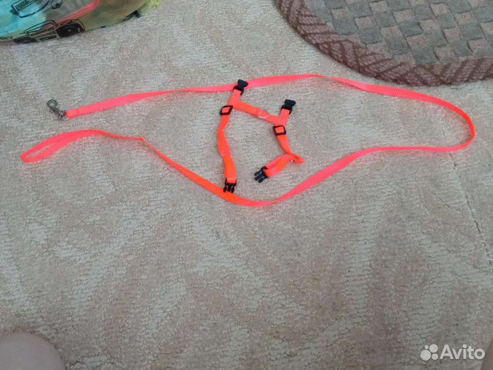 Товары для грызунов и не только