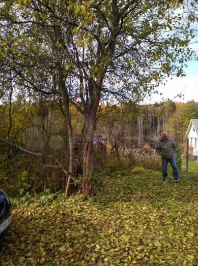 Участок 6,5 сот. (СНТ, ДНП)