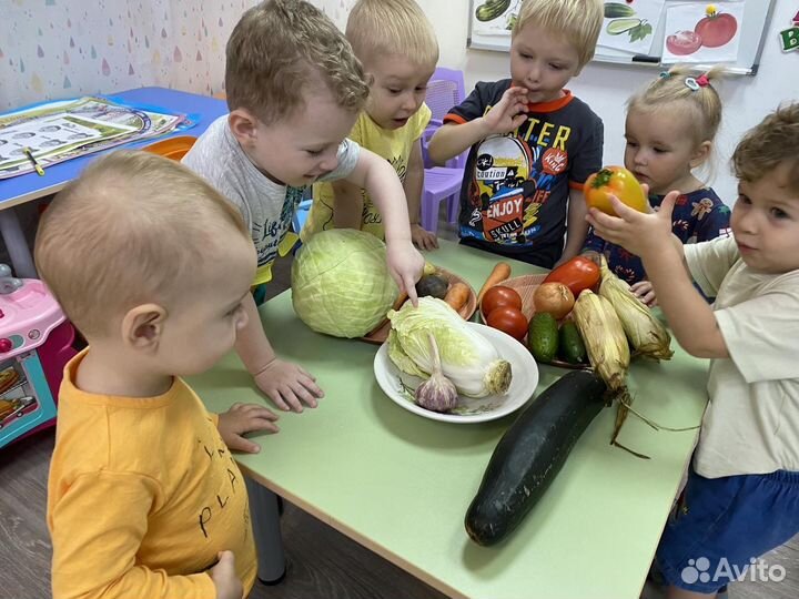 Частный детский сад с видео наблюдением
