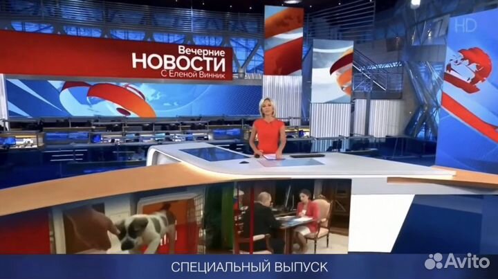 Видео поздравление
