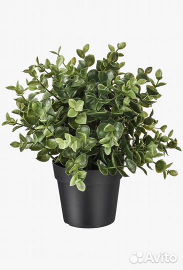 Икеа Растение искусственное фейка