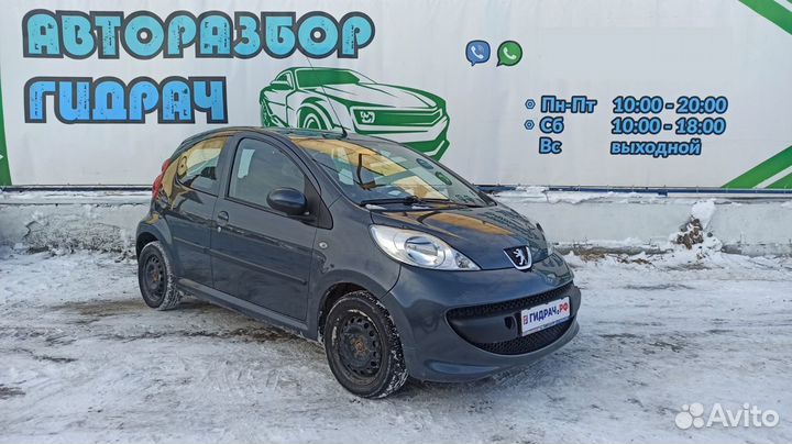 Насос омывателя Peugeot 107 643476