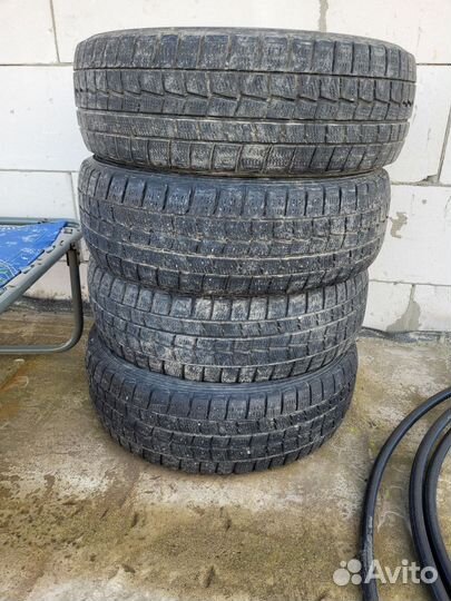 Dunlop Winter Maxx WM01 175/65 R14