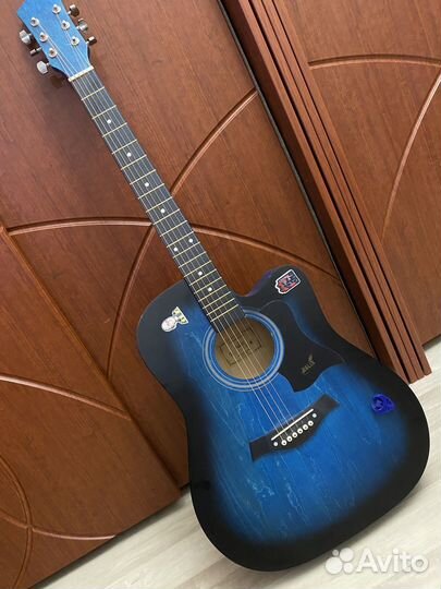 Гитара Molin FT -221