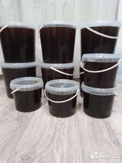 Мед с Алтая