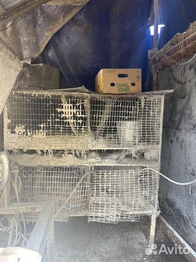 Клетки для кроликов