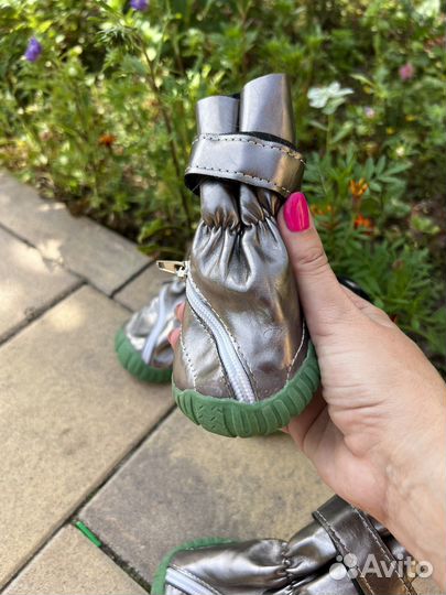 Обувь для крупных собак