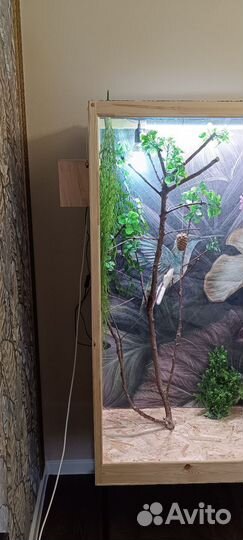 Клетка, террариум, вольер для птиц