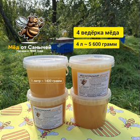 Мёд от Санычей, цветочный