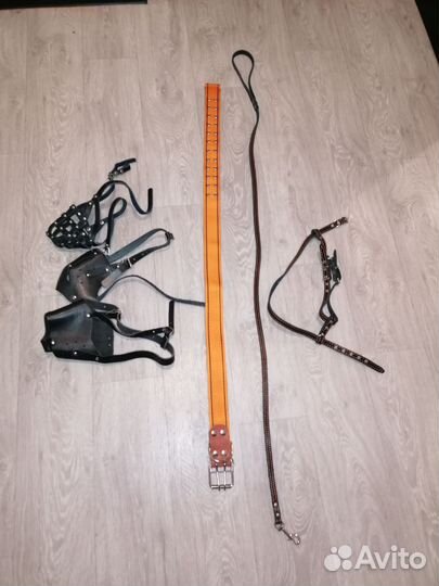 Ошейник, поводок, намордник, шлейка, все новое