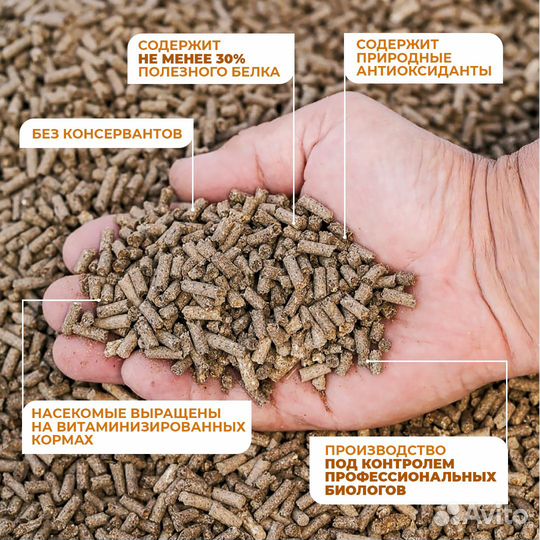 Белково-витаминная добавка для кур-несушек 1,5 кг