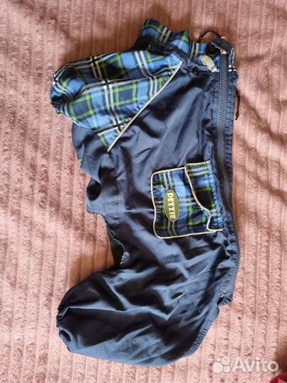 Одежда для собак