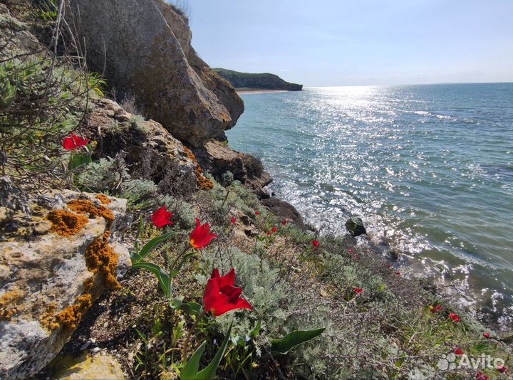 Индивидуальные экскурсии