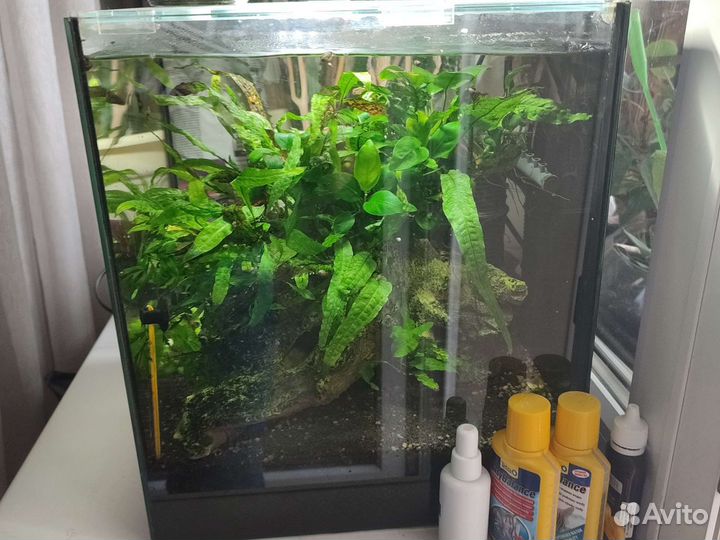 Аквариум под ключ