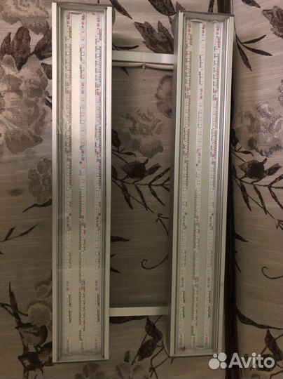 Фито лампа для растений