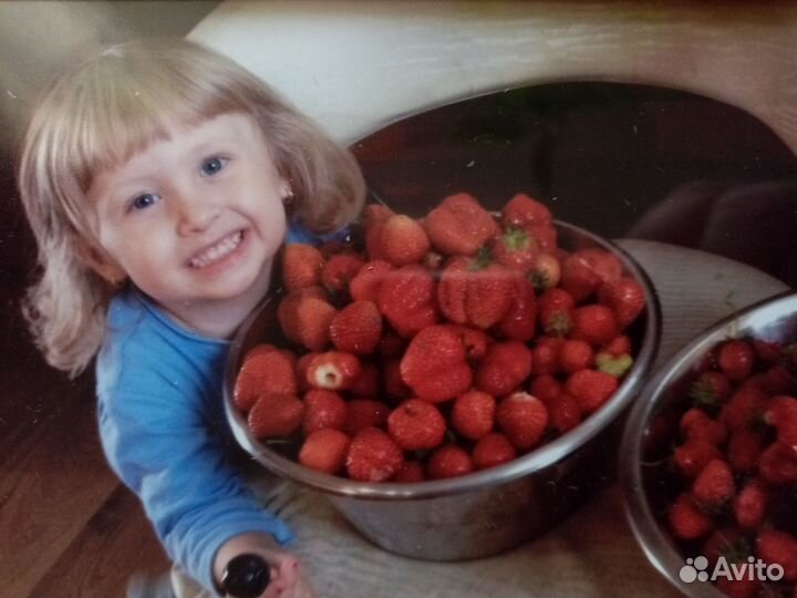 Клубника, рассада