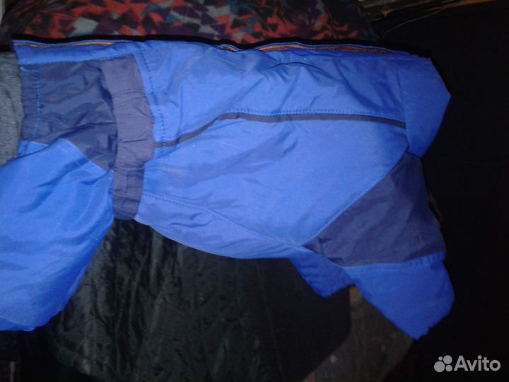 Одежда для таксы