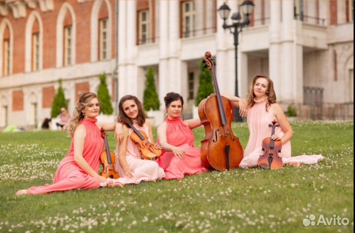 Организация праздника Музыкальное оформление. Стру