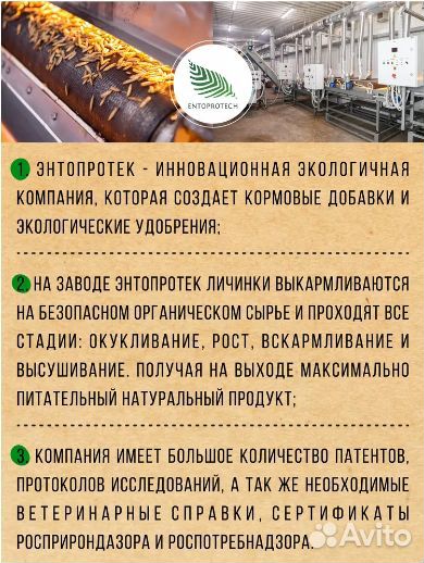 Кормовой деликатес,Сушеные насекомые 1000мл