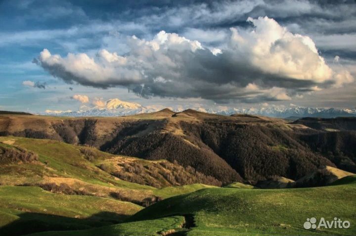 Экскурсия Шоанинский храм Х-век. Перевал Гум-Баши