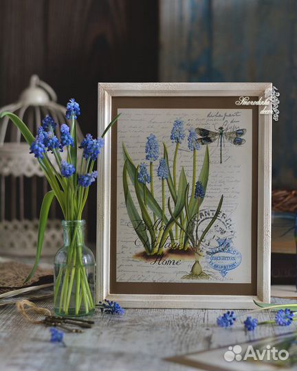 Комплект иллюстрации Нарциссы и мускари