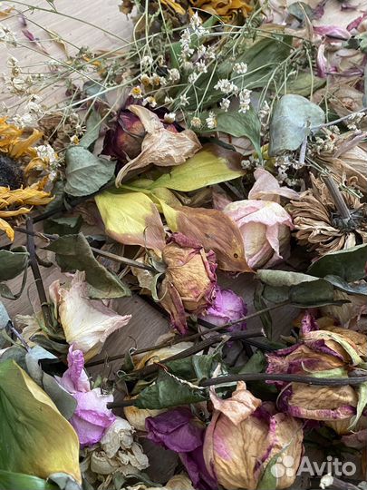 Сушеные цветы