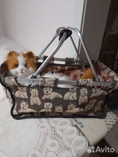 Переноска для кошек и собак