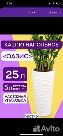 Кашпо и пальма