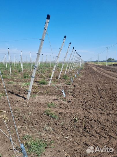 Столбы бетонные шпалерные для сада