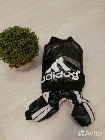 Костюмы и вязаные кофты для мелких пород собак