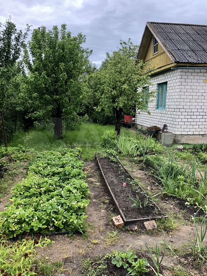 Дача 50 м² на участке 5,5 сот.