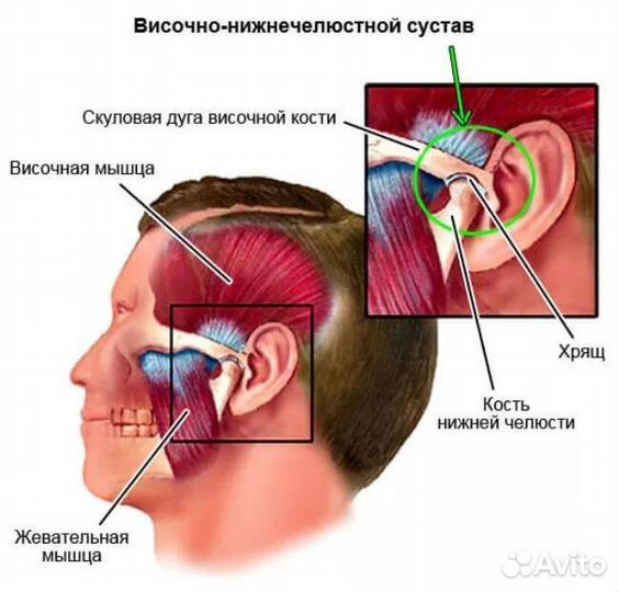 Массаж Резет Кинезиология Тренер Танцор Цветы Баха