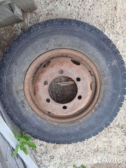 Accelera Delta 4/6 R5 и 4/4.5 R4 19D