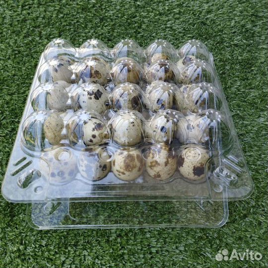 Упаковка для перепелиных яиц