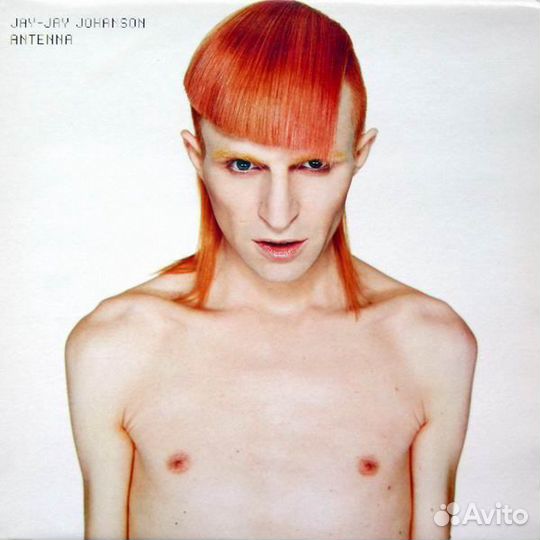 Бокс Absolute Body Control 5 LP