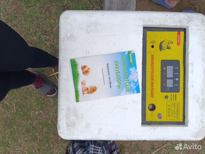 Инкубатор для яиц