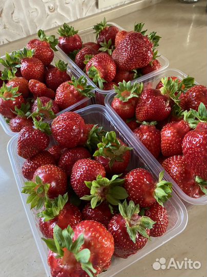 Клубника свежая доставка