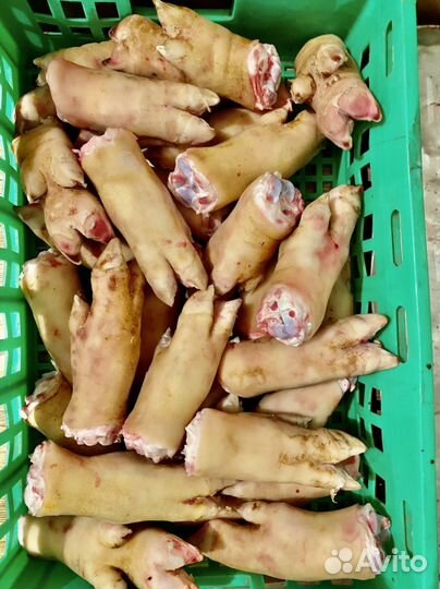 Ножки свиные