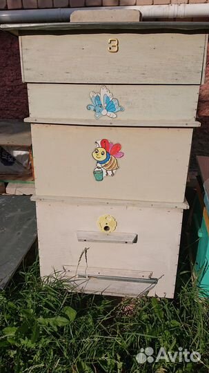 Пчёлы, ульи