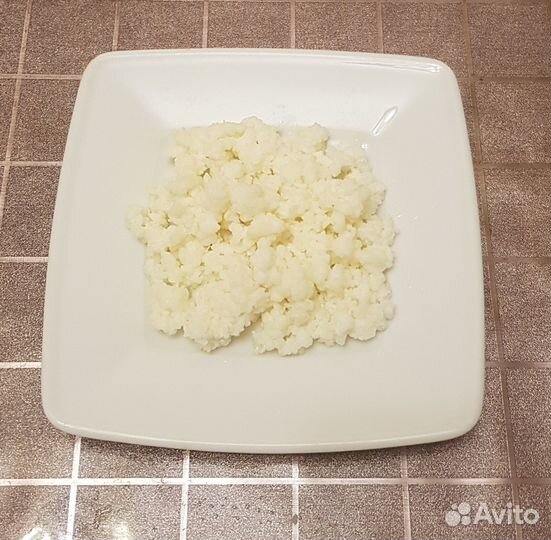 Тибетский молочный (кефирный) гриб