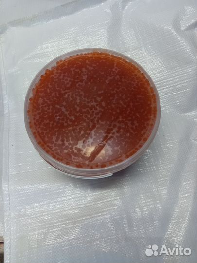 Икра красная кижуча