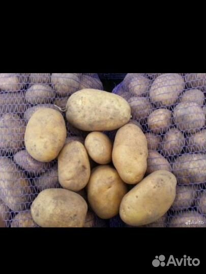 Картошка с доставкой