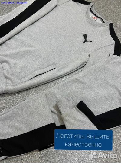 Спортивные костюмы Puma (Арт.80058)