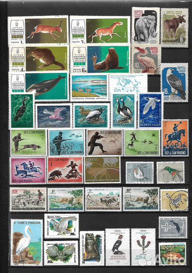 Марки Фауна. Часть 2