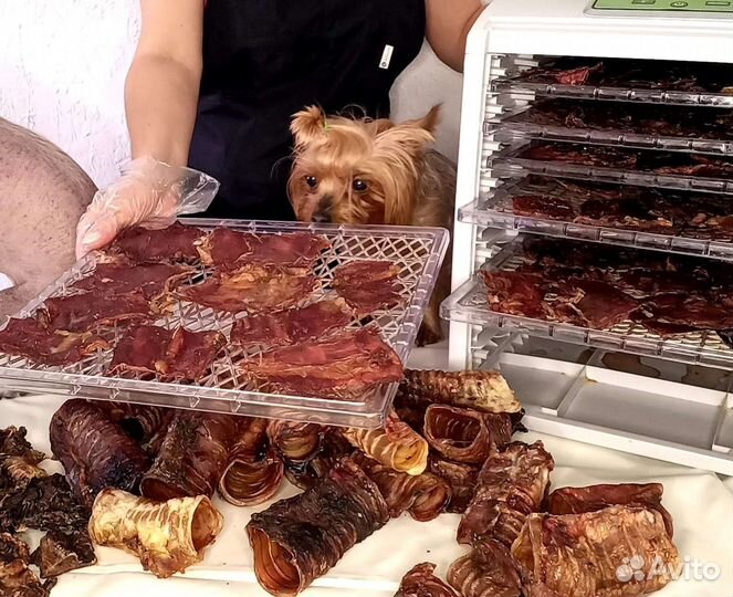 Лакомства для собак