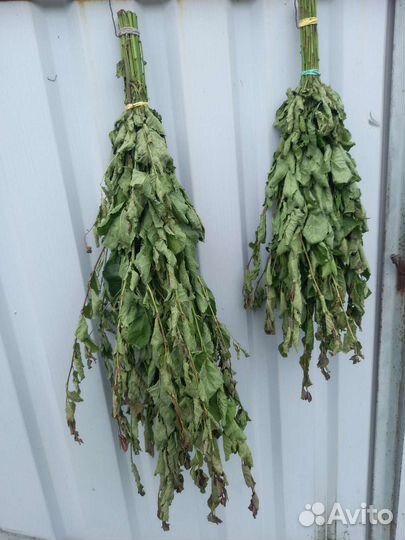 Веник сливовый для бани