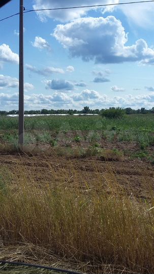 Участок 50 сот. (ИЖС)