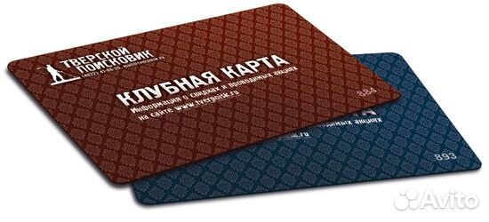 Nokta Makro Legend WHP с подводными наушниками