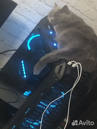 Процессор i5 9600kf комплект